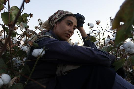 Leben – trotz aller Widrigkeiten